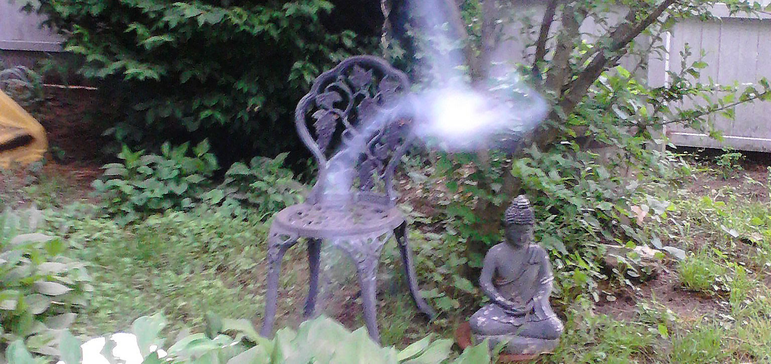 buddha and energy field